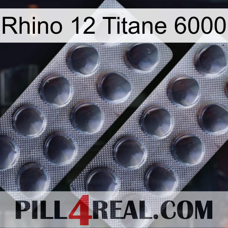 Rhino 12 Titanium 6000 31